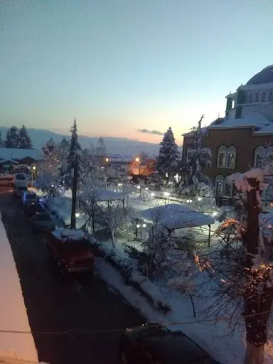 Yaysol Solucan Gübresi
