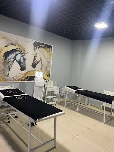 Adles Bay Bayan Lazer Epilasyon Merkezi 3