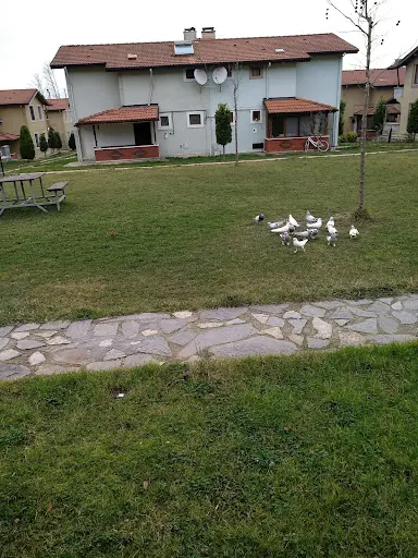 Kartepe Belediyesi Derbent Kültür Merkez 4