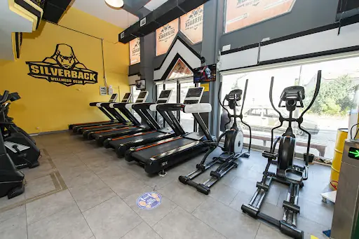 Silverback wellness club
