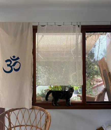 Ada’da Yoga 4
