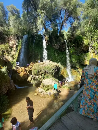 Galip Ulutaş Mesire Alanı 4