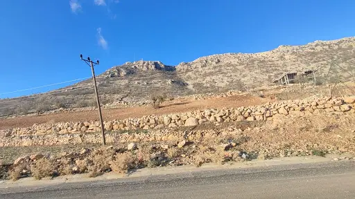 Seyid Ali Erzen Kültür ve Taziye Evi 3