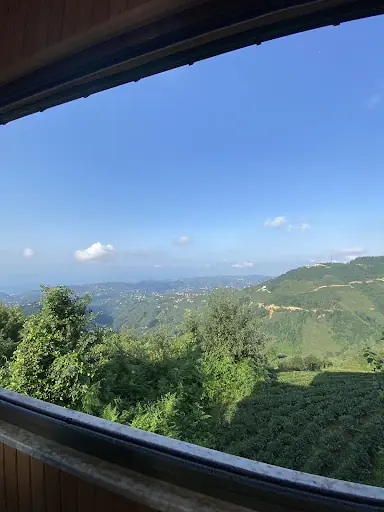 Arsin At Çiftliği 4