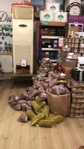 Turan fındık