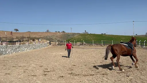 Kızmaz Çiftliği 4