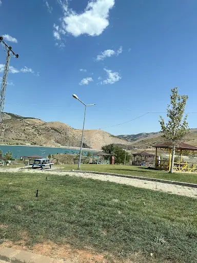 Zorkun Mesire Alanı 4