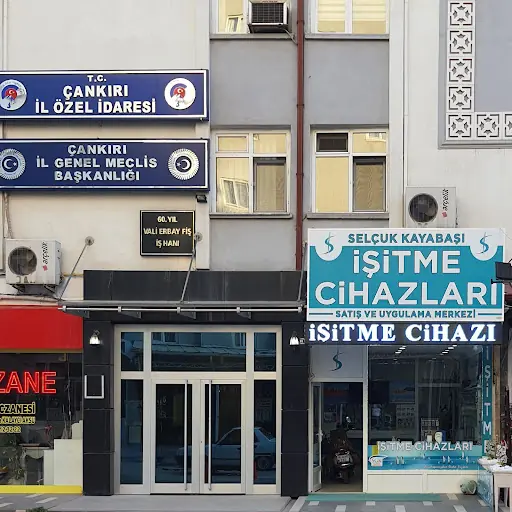 Selçuk KAYABAŞI İşitme Ve Tıbbi Cihazlar 2