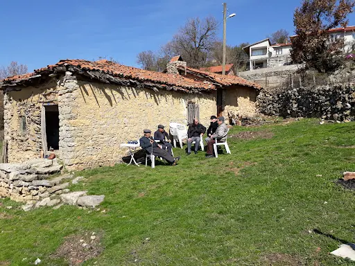 Çakallar