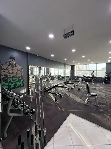 Flex Fitness
