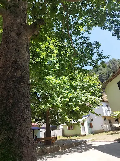 Bağdaş Yayla Camii 2