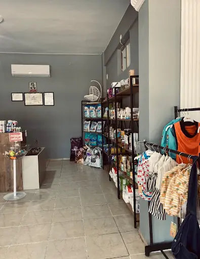 Buddy Pet Kuaför Pet shop Didim pet kuaför 2