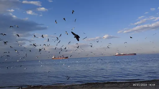 Mokamp Çiftlikköy 4