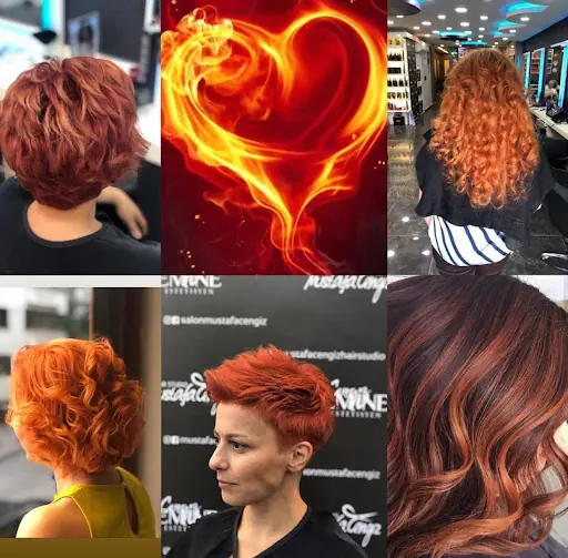 Salon Mustafa Cengiz 3