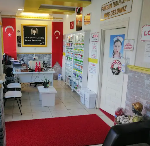 FİNİKE SPA MASAJ TERAPİ CENTER