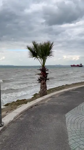Çiftlikköy Sahili Yürüyüş Yolu 3
