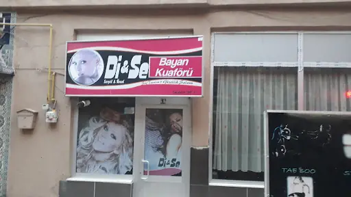 di se bayan kuaforu 2