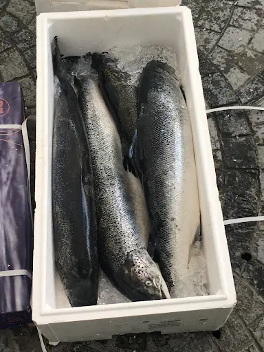 Daça Bayan Kuaförü 2