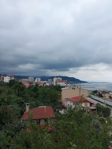 Piraziz
