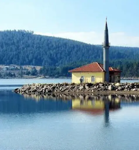 Seben
