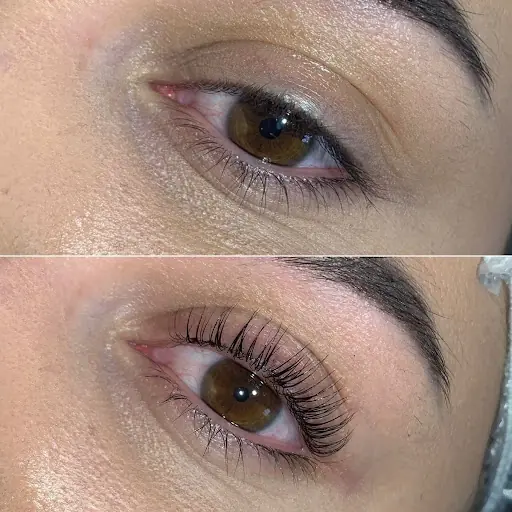 Lotus beauty center 2