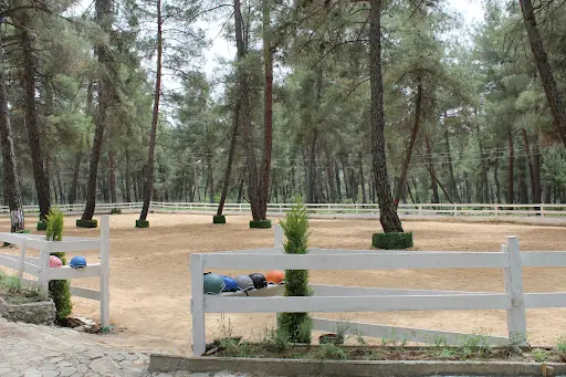 Seymen Binicilik Merkezi