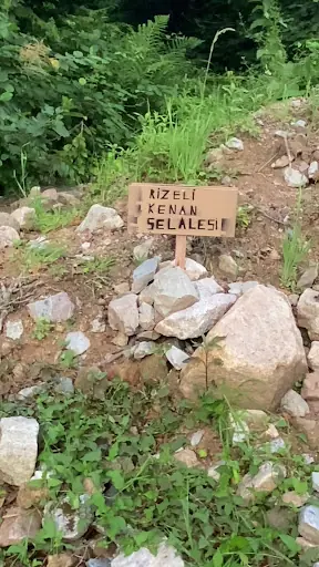 Rizeli Kenan Şelalesi 4