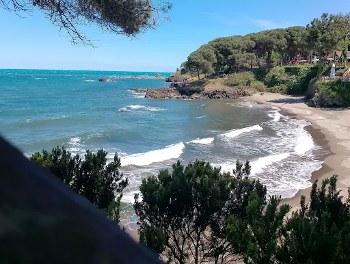 Çamlık Piknik ve Mesire Alanı 4
