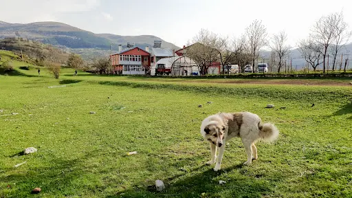 Posof 3
