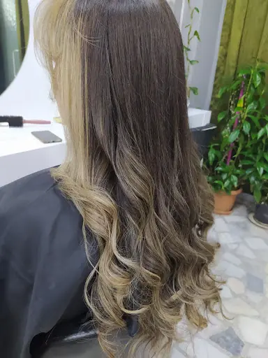 Lilyum Bayan Kuaförü 2
