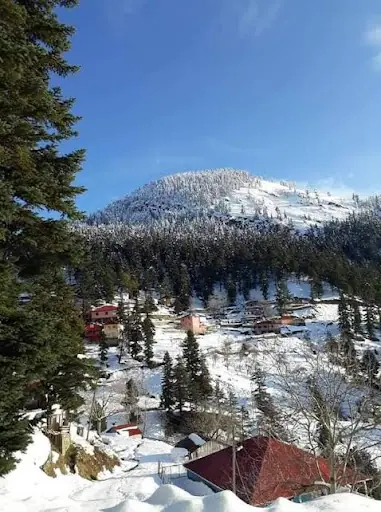Bağdaş Yaylası 1450m