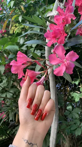 Es Diva Şişli Hair & Nail beauty
