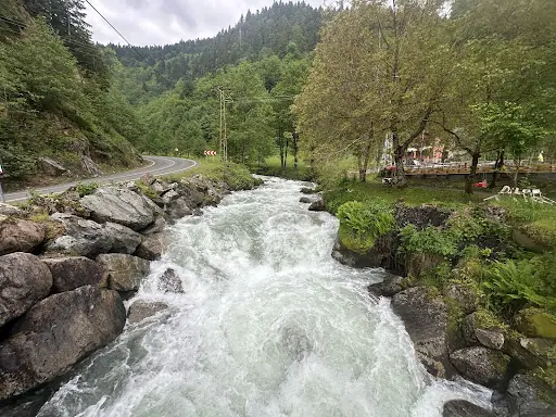 Apidon Yöresel Yemekler 4