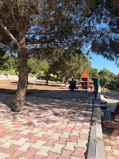 Erikli mesire alanı 2