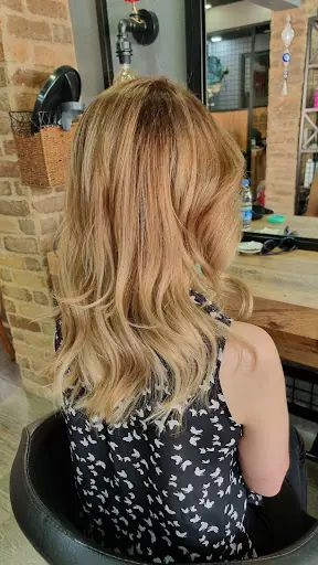 Saloon Fevzi 2