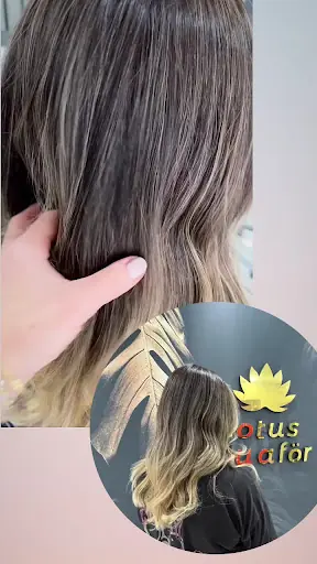 Lotus Bayan Kuaför 4