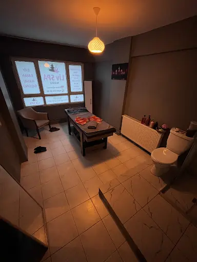Orkidespamasaj 2