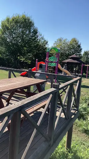 Kaynaşlı Gırgın Çayırı Mesire ve Piknik Alanı 3