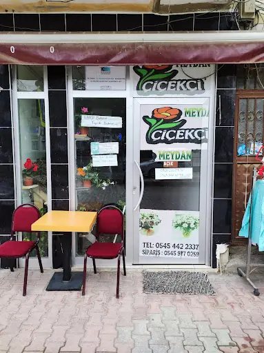 ASARCIK MEYDAN AİLE SAĞLIĞI MERKEZİ