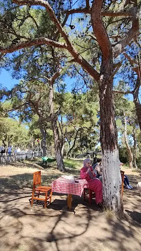 Aşıklar Tepesi Mesire Alanı 4