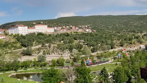 Çamlıdere