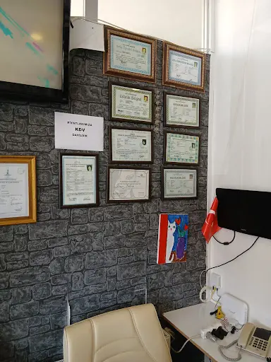 Nazlican Bayan Kuaförü – Kadın Kuaförü, Sancaktepe, İstanbul (3. fotoğraf)