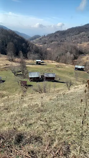 BACAKLI YAYLASI 5