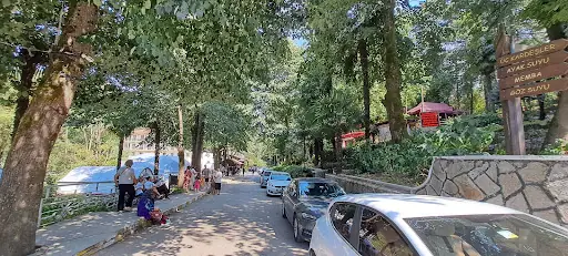 Şifalı Sular