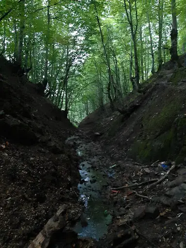 Korgan Acısu