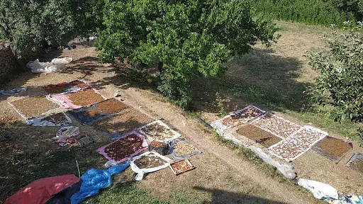 Aşukland 3