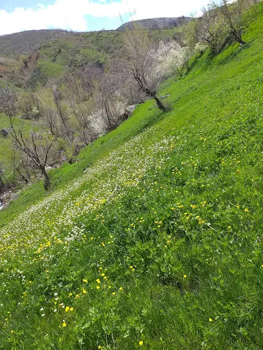 Mutki İlçe Devlet Hastahanesi 4