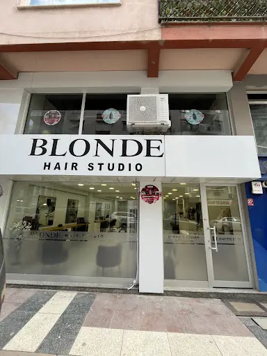 Blonde Hair Studio