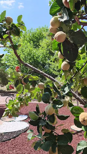 Yalıhüyük Belediyesi Düğün Salonu 3