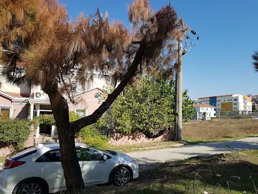 Estemed Keşan 4